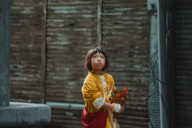 殺雞-圖片