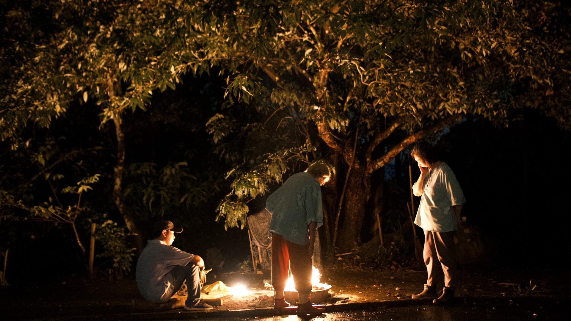 【KFF 影展專書】《貓與雞》：預演一場生前的死亡紀事-圖片