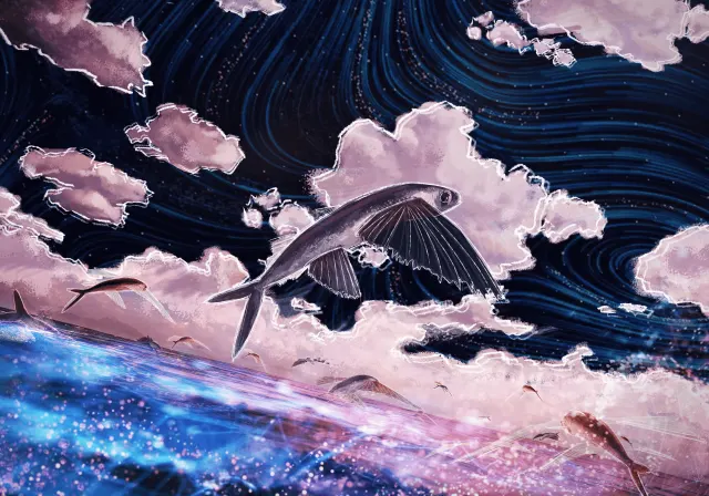 Black Wings-Image