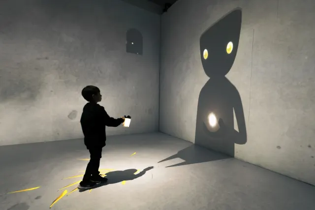 Augmented Shadow: Chasing Stars in Shadow-Image
