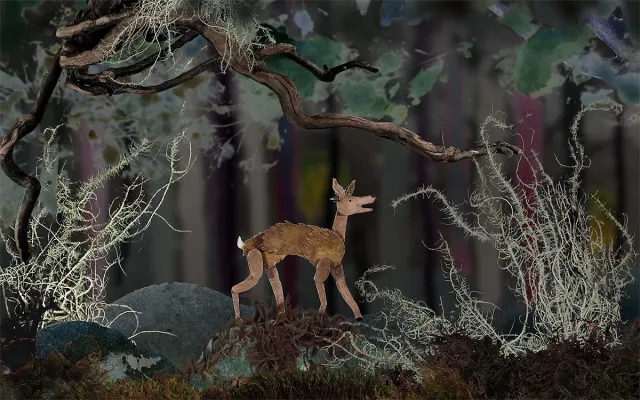 The Hind-Image